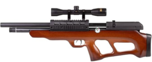 Beeman PCP Underlever Air Rifle