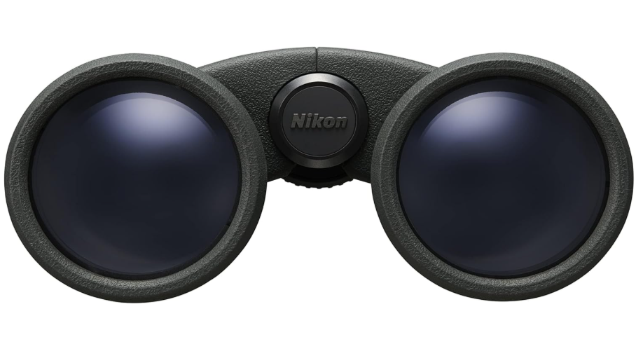 Best Budget Binoculars for Bird Watching