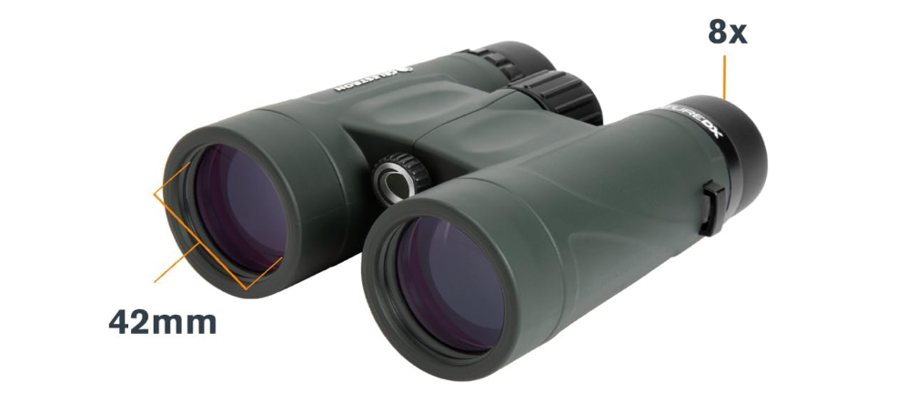 Best 8x42 Binoculars for Bird Watching