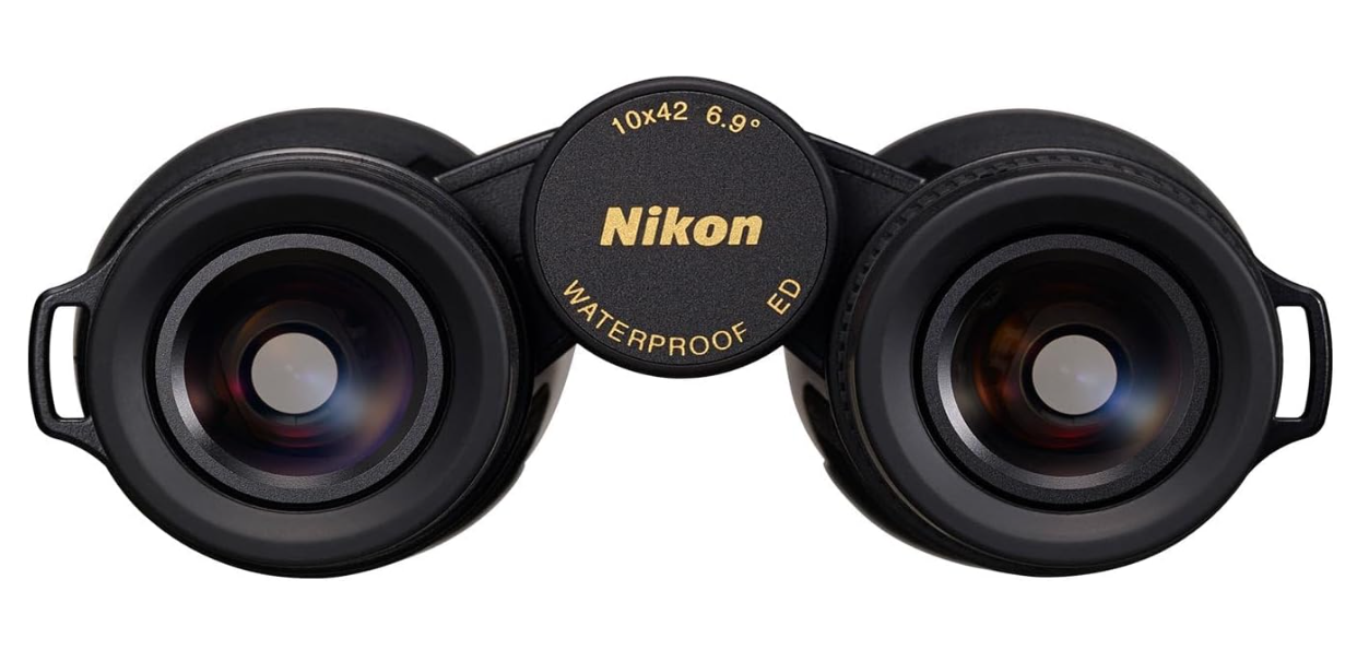 Best Binoculars for Whale Watching​