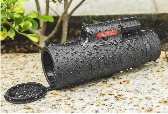 Best Budget Monocular for Bird Watching