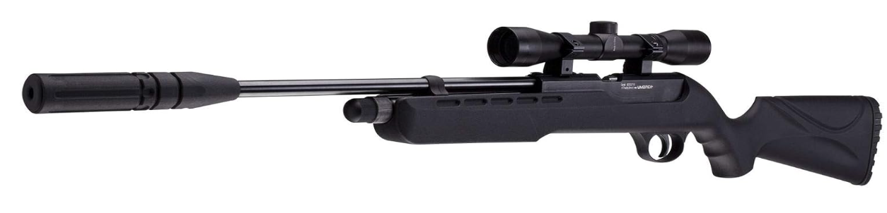 5 Best Air Rifle for Iguana Hunting