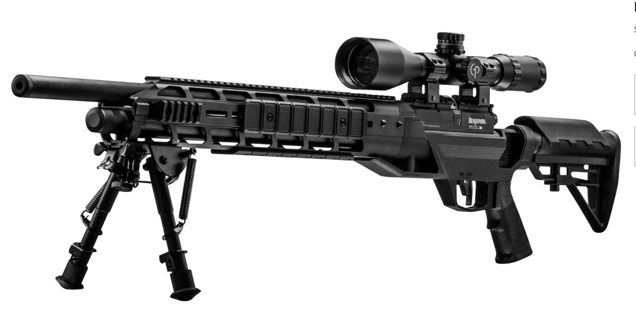 5 Best Air Rifle for Mountain Lion Hunting