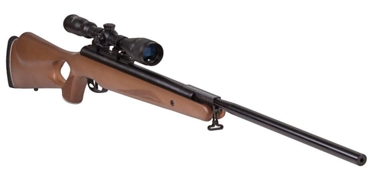 5 Best Air Rifle for Woodchuck Hunting