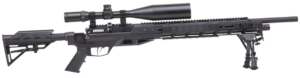 Benjamin Armada PCP Air Rifle Combo air Rifle 