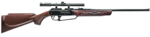 Daisy Powerline 880 Multi‑Pump .177 BBPellet Rifle