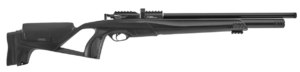 Stoeger XM1 Scout PCP Air Gun