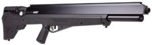 Benjamin Bulldog Hunting Rifle